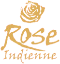 mir01 logo